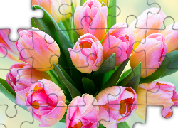 Kwiaty, Tulipany, Bukiet kwiatów