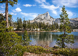 Jezioro, Cathedral Lake, Park Narodowy Yosemite, Góry, Szczyt, Cathedral Peak, Drzewa, Kalifornia, Stany Zjednoczone