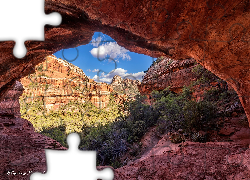 Czerwone, Skały, Krzewy, Cathedral Rocks, Sedona, Arizona, Stany Zjednoczone