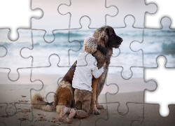 Dziecko, Pies, Leonberger, Plaża, Morze, Przyjaciele