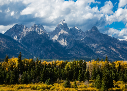 Stany Zjednoczone, Utah, Park Narodowy Grand Teton, Góry, Chmury, Las, Drzewa, Jesień