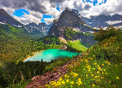 Góry, Jezioro, Grinnell Lake, Kwiaty, Drzewa, Las, Chmury, Park Narodowy Glacier, Montana, Stany Zjednoczone