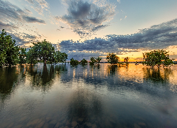 Stany Zjednoczone, Kolorado, Park stanowy, Chatfield State Park, Jezioro, Chatfield Lake, Łódka, Drzewa