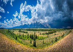 Stany Zjednoczone, Wyoming, Park Narodowy Grand Teton, Równina, Drzewa, Góry, Chmury, Niebo