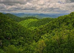 Zielone, Wzgórza, Drzewa, Zalesione, Góry