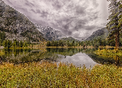 Góry Skaliste, Jezioro, Officers Gulch Pond, Drzewa, Kolorado, Stany Zjednoczone