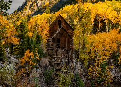 Stany Zjednoczone, Kolorado, Młyn wodny, Crystal Mill, Jesień, Drzewa, Skały