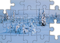 Zima, Ośnieżone, Rośliny, Drzewa