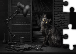 Szafka, Lampa, Okulary, Kot