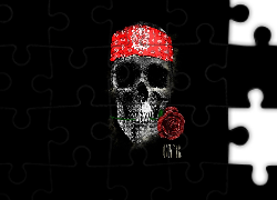 Grafika 2D, Guns N’ Roses