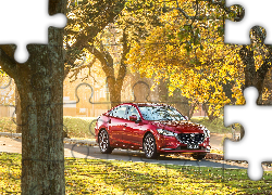 Czerwona, Mazda 6, Drzewa