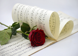 Kwiat, Róża, Czerwona, Nuty, Zapis, Melodia, Muzyka