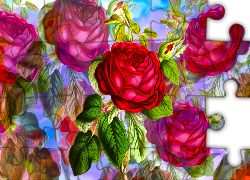 Kwiaty, Róże, Czerwone, Grafika