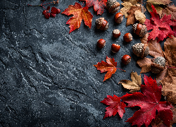 Czerwone, Brązowe, Liście, Klonu, Żołędzie, Czarne, Tło