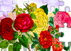 Grafika, Kwiaty, Kolorowe, Róże