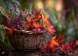 Kosz, Czerwone, Liście, Jesienne, Grafika AI