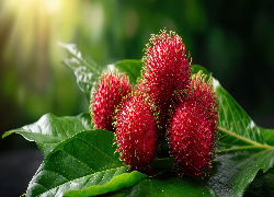 Rambutan, Czerwone, Owoce, Liście, Grafika AI