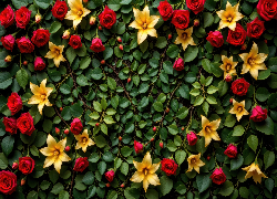 Gałązki, Listki, Czerwone, Róże, Żółte, Kwiaty