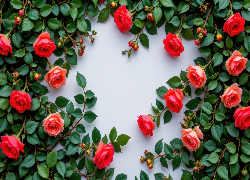 Kwiaty, Czerwone, Róże, Gałązki, Listki