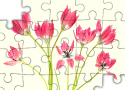 Tulipany, Czerwone, Kwiaty, Jasnożółte, Tło