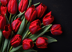Tulipany, Czerwone, Kwiaty, Czarne, Tło