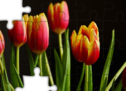 Tulipany, Czerwono-żółte