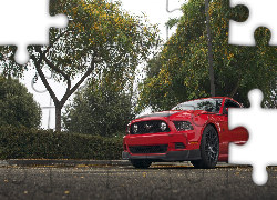 Ford Mustang, 2013, Czerwony