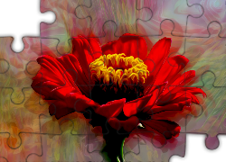 Czerwony, Kwiat, Grafika 2D
