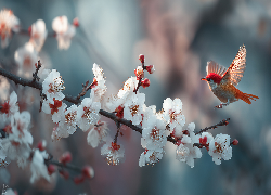 Czerwony, Ptak, Gałązka, Drzewo owocowe, Białe, Kwiaty, Grafika AI