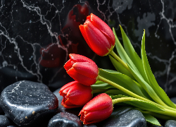 Tulipany, Czerwone, Kamienie, Tło, Marmurowe