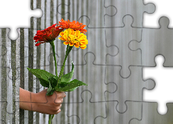 Ręka, Kwiaty, Bukiet, Liście, Płot