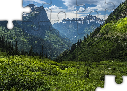 Góry Skaliste, Las, Drzewa, Dolina, Chmury, Park Narodowy Glacier, Stan Montana, Stany Zjednoczone
