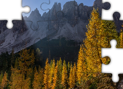 Góry, Dolomity, Włochy, Jesień, Drzewa