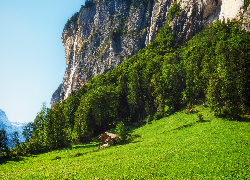 Polana, Wzgórze, Góry, Dom, Drzewa, Dolina Lauterbrunnen, Szwajcaria