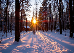 Zima, Śnieg, Ścieżka, Las, Drzewa, Dom, Promienie słońca, AI
