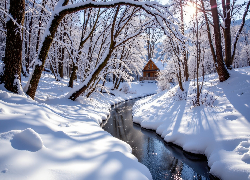 Zima, Śnieg, Ośnieżone, Drzewa, Rzeka, Dom
