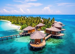 Malediwy, Domki, Palmy, Morze