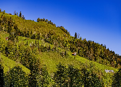 Dom, Drzewa, Wzgórze, Góry, Niebo, Natura