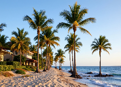 Palmy, Plaża, Dom, Morze