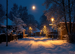 Zima, Domy, Drzewa, Zaśnieżona, Droga, Latarnie