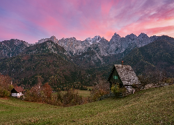 Góry, Alpy Julijskie, Las, Drzewa, Domy, Kranjska Gora, Słowenia