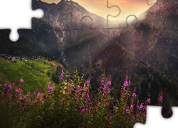 Góry, Alpy, Kwiaty, Domy