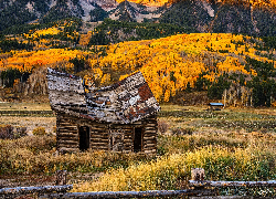 Stany Zjednoczone, Kolorado, Crested Butte, Góry, Jesień, Drzewa, Szopa, Drewniana