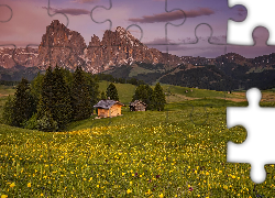 Dolomity, Góry Sassolungo, Płaskowyż Seiser Alm, Dolina, Val Gardena, Drzewa, Chmury, Drewniane, Domy, Łąka, Kwiaty, Włochy