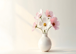 Kwiaty, Biały, Wazon