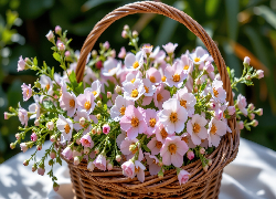 Różowe, Drobne, Kwiaty, Koszyk