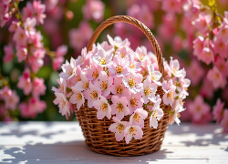 Różowe, Kwiaty, Mały, Wiklinowy, Koszyk