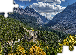 Góry Skaliste, Dolina, Lasy, Droga, Icefields Parkway, Drzewa, Alberta, Kanada