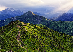 Góry, Dolomity, Przełęcz, Passo di Giau, Droga, Łąka, Prowincja Belluno, Włochy