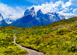 Góry, Masyw, Torres del Paine, Droga, Łąka, Chmury, Park Narodowy Torres del Paine, Zachód słońca, Patagonia, Chile